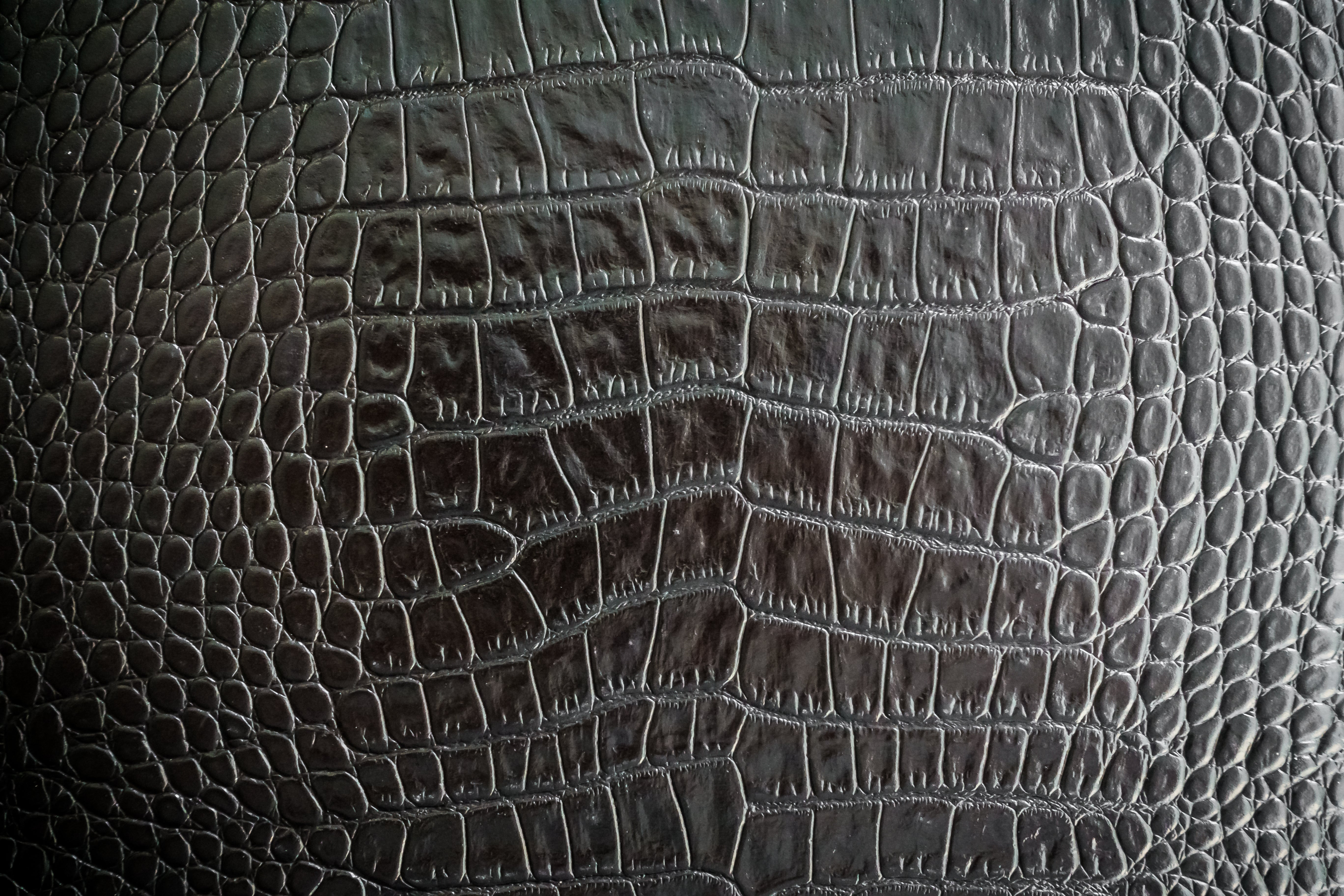 Crocodile Leather Texture Closeup